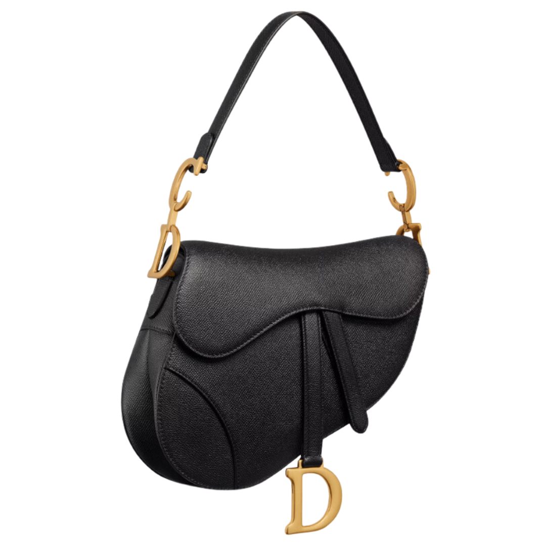 Rent dior saddle bag new arrivals